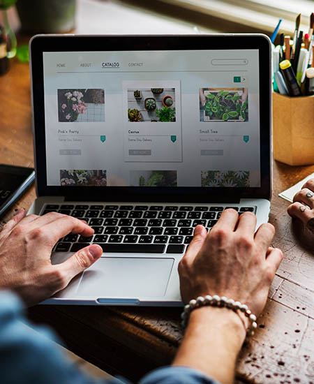 Website Development, Web Development in Sharjah, Web Design, Web Development Sharjah, Website Development Ajman, Web Design Sharjah, Website Design, Web Design Company