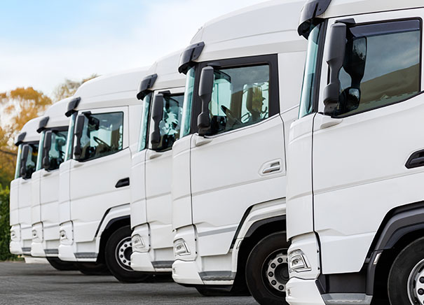 Web Design For Import-Export Industry