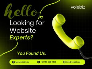 Looking for Website Experts