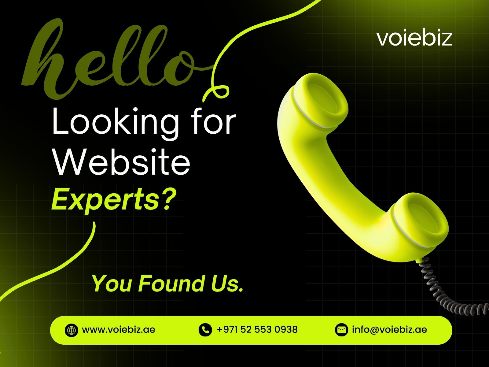 Looking for Website Experts