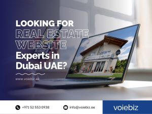 Real Estate Website Experts in Dubai