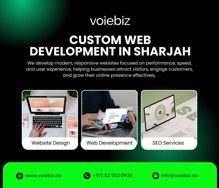 Custom Web Development in Ajman