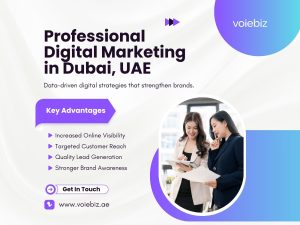 Professional Digital Marketing in Dubai