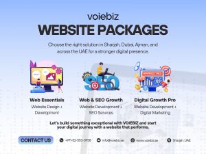 Choose the right web solution in Sharjah