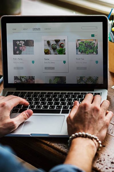 Website Development, Web Development in Sharjah, Web Design, Web Development Sharjah, Website Development Ajman, Web Design Sharjah, Website Design, Web Design Company, Website Development Sharjah, Website Design Company,